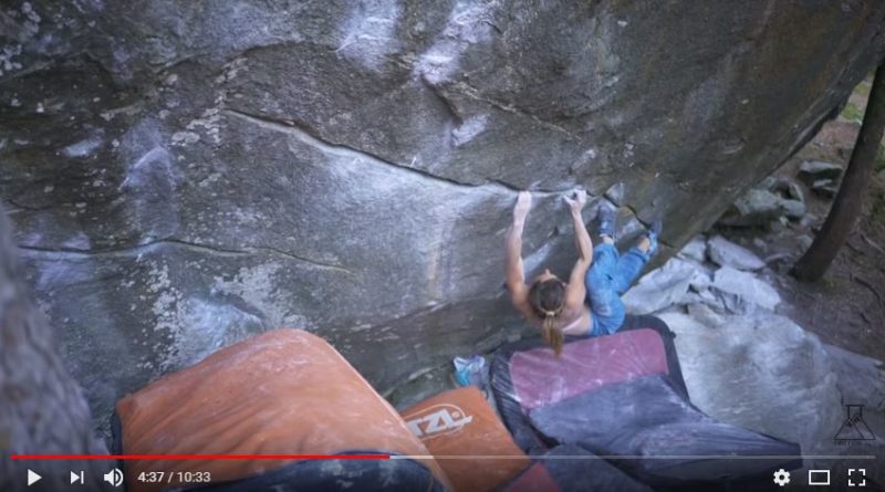 alex puccio bloc