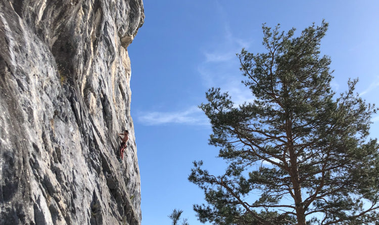 escalade entraineur moniteur haute savoie