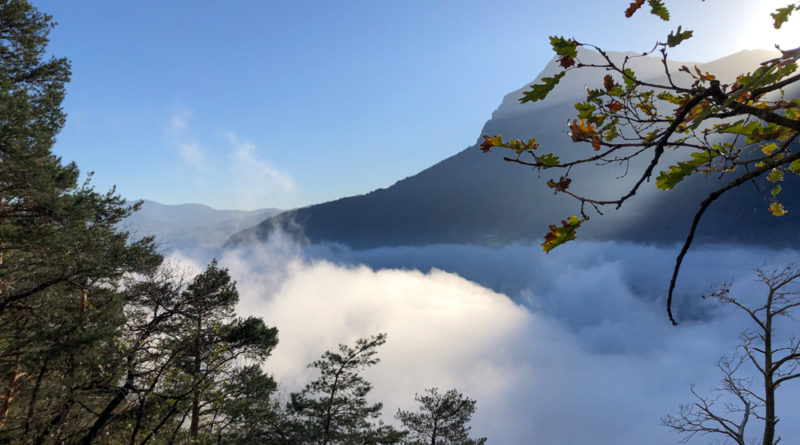 escalade entraineur moniteur haute savoie