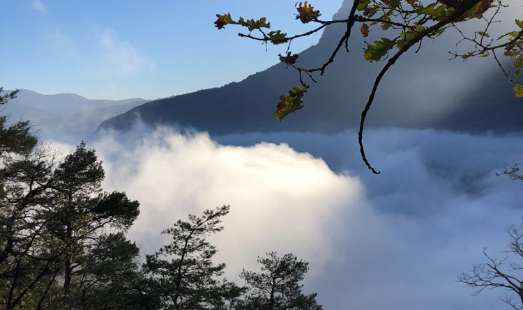 escalade entraineur moniteur haute savoie