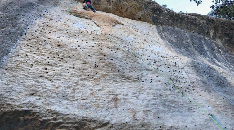 escalade climbing stage buoux